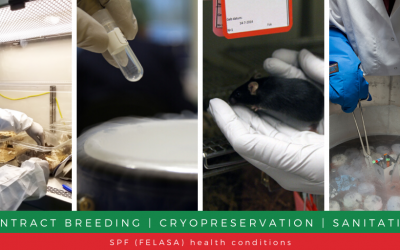 Let’s reconsider your research – InnoSer contract breeding services