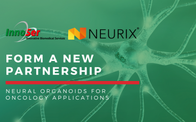 Press Release: InnoSer and Neurix form a partnership to offer neural organoids for oncology drug development applications