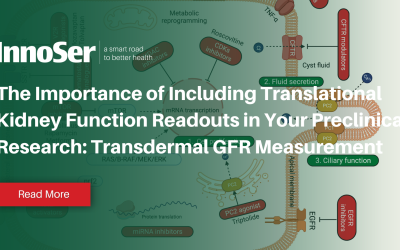 The Importance of Including Translational Kidney Function Readouts in Your Preclinical Research: Transdermal GFR Measurement
