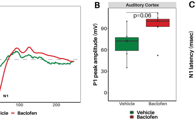 Relevant pharmaco-EEG in vivo data (Baclofen, Fenfluramine)