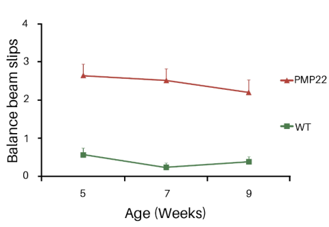 Phenotyping of a C3-PMP22 mouse model of CMT1A - InnoSer