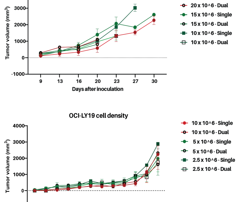 Personalized Lymphoma CDX mouse models for preclinical oncology