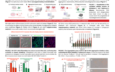 Characterisation of In Vitro Neuronal and Microglial Disease Models to Support Drug Discovery Efforts for Neurodegenerative Diseases