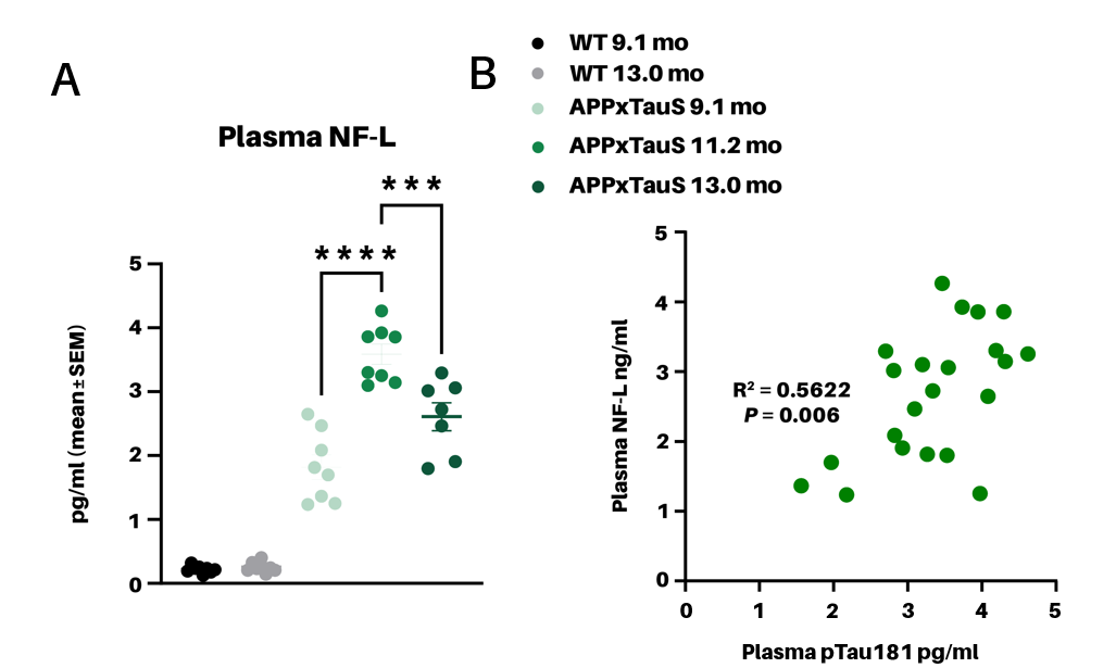 Histopathology image showing differences in TDP-43 signal in nucleus and cytoplasm in mutant vs healthy TDP-43 mouse model
