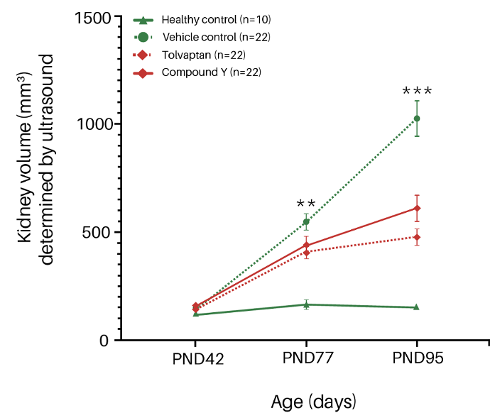 Total kidney volume (TKV) as a translationally relevant, non-invasive disease progression readout