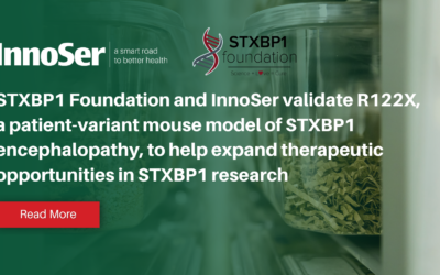 STXBP1 Foundation and InnoSer validate R122X, a patient-variant mouse model of STXBP1 encephalopathy, to help expand therapeutic opportunities in STXBP1 research