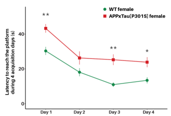 Cognitive profiling in the APP[V717I]xTau[P301S] mouse model