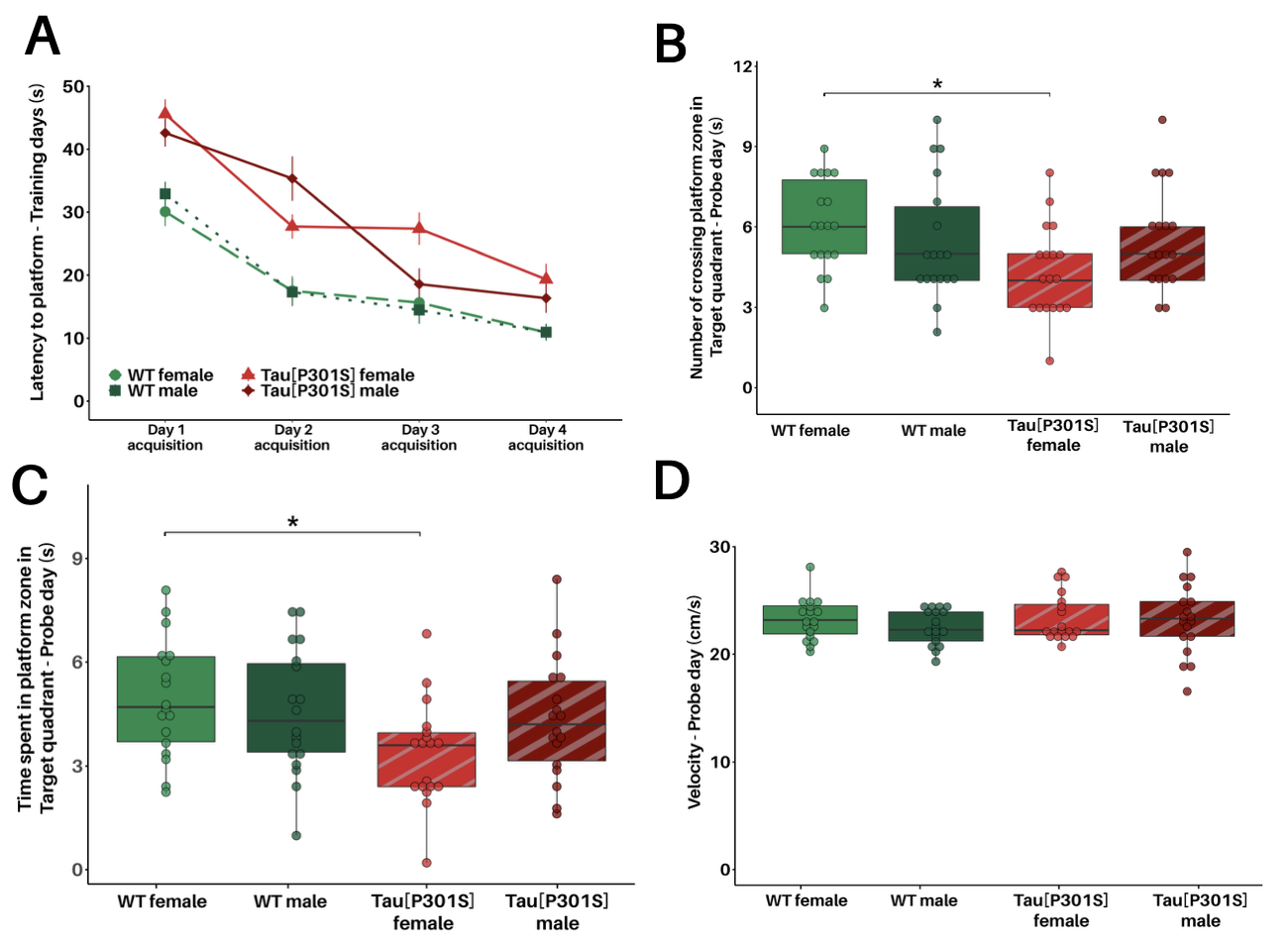 Graphs showing spatial memory deficits in female Tau[P301S] mice in the Morris Water Maze, including fewer platform-location crossings and reduced time in the target zone.