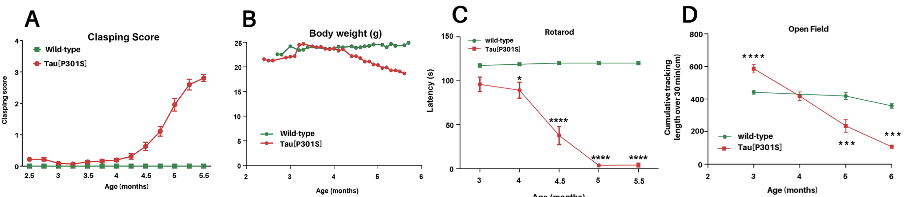 Line graphs showing progressive clasping, body weight loss, rotarod deficits, and hyperactivity in the transgenic Tau[P301S] mouse model from 4 to 5.5 months, indicating neurodegenerative disease onset.